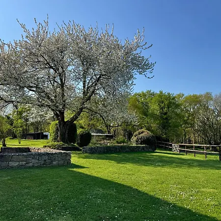 Le Domaine Du Ganquis Belz